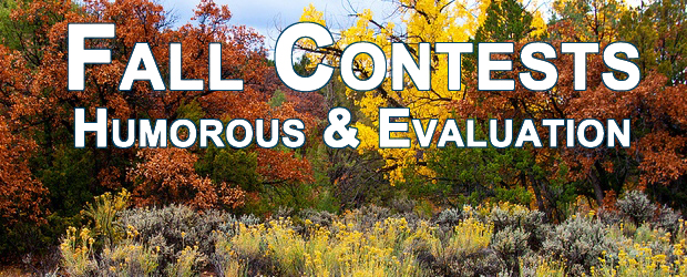 Fall 2013 Contests